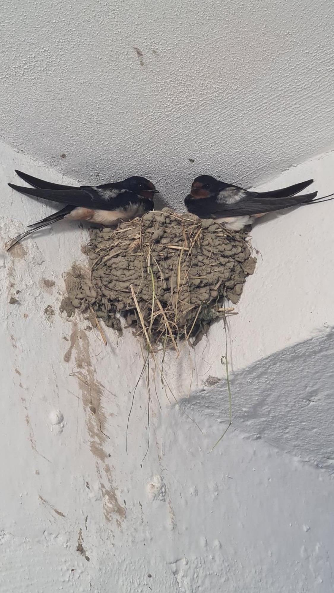 Dei Cozy Apartment Shkodër Exteriér fotografie